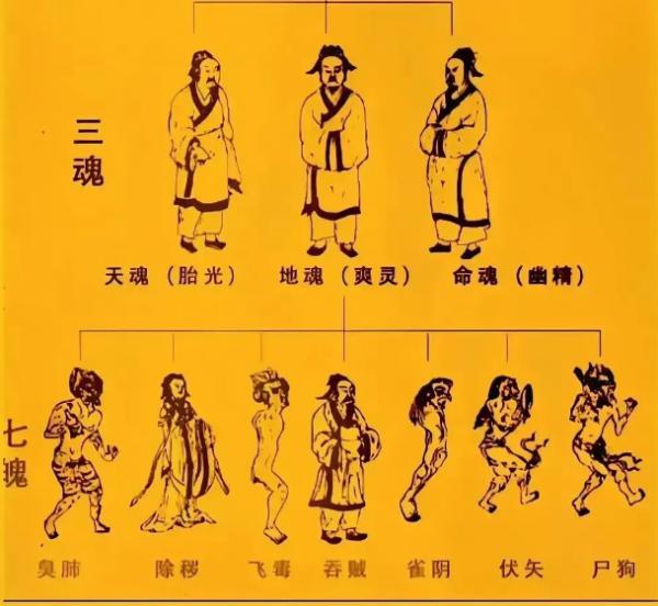 微信截图_20250113165359.jpg