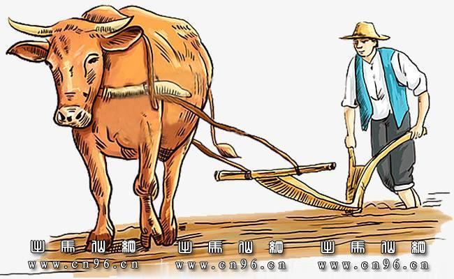 老牛成精